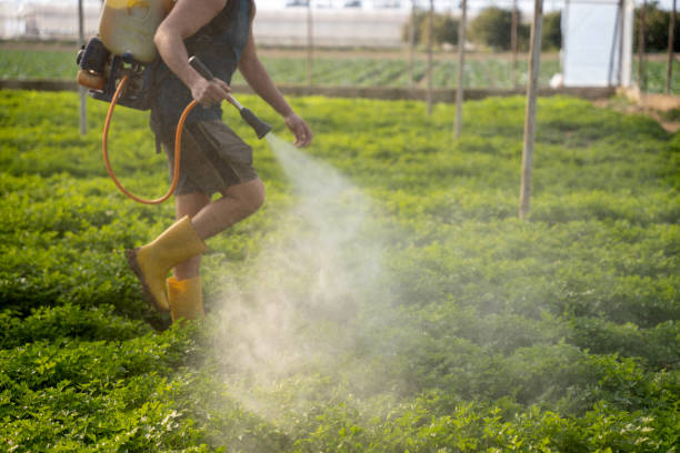 Best Commercial Pest Control Services  in Waynesboro, PA